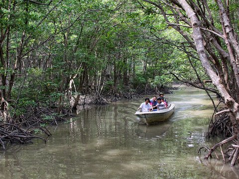 Can Gio Mangrove Forest - Monkey Island