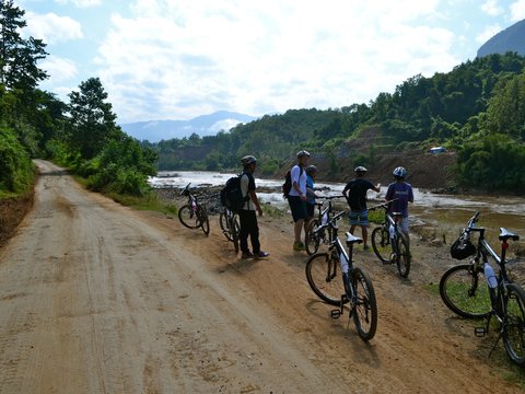 Eco Friendly Bike Tour 