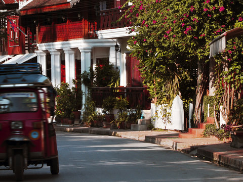 Luang Prabang Family Reveal 