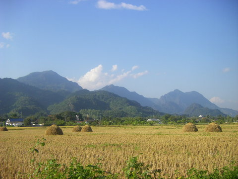 Trails of Thailand Food Tour 