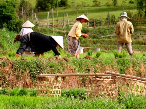 Mystery of Laos 