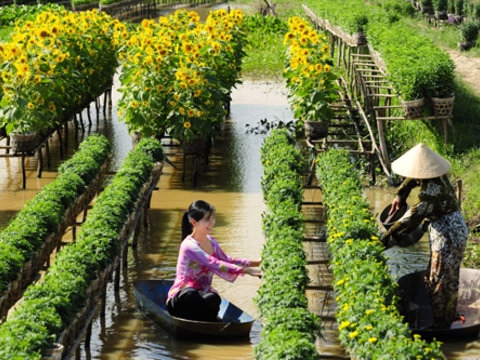 Siem Reap - Saigon 