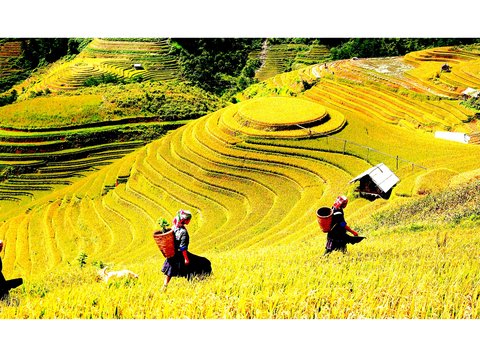 Charity Tour in Northern Vietnam