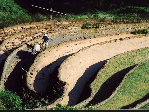 Real Adventure in Vietnam