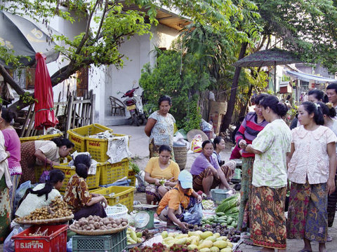 Luang Prabang Family Reveal 