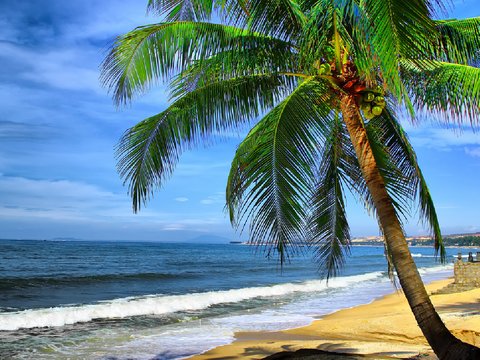 Vietnam Golf Vacation