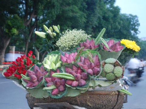 Vietnam Buddhist Pilgrimage