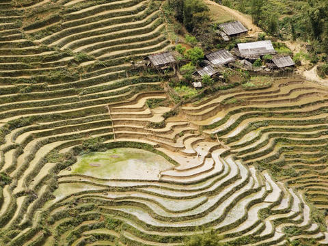 Sapa Trekking Tour 