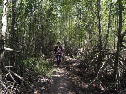 Can Gio Mangrove Forest - Monkey Island