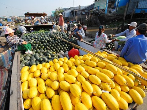 Highlights Of Indochina