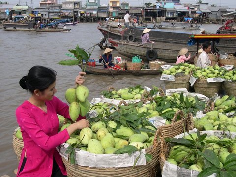 Highlights of Southeast Asia 