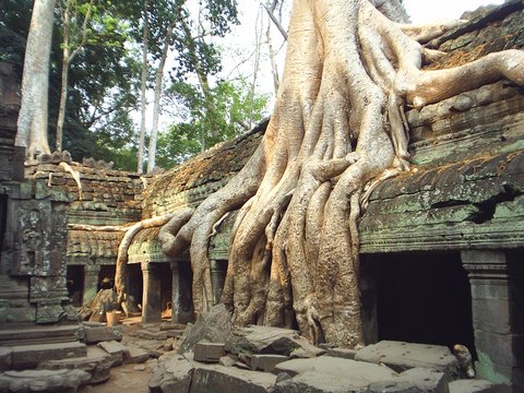 Cambodia Beach Break 