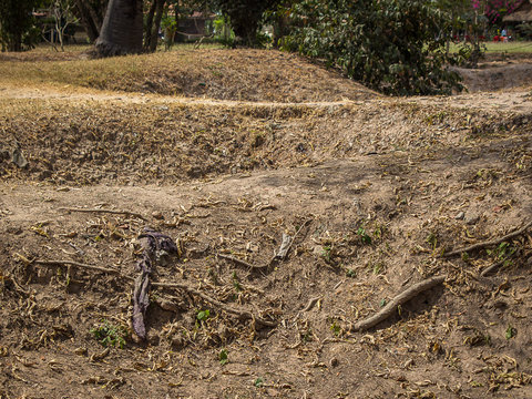 Cambodia Adventure Holiday