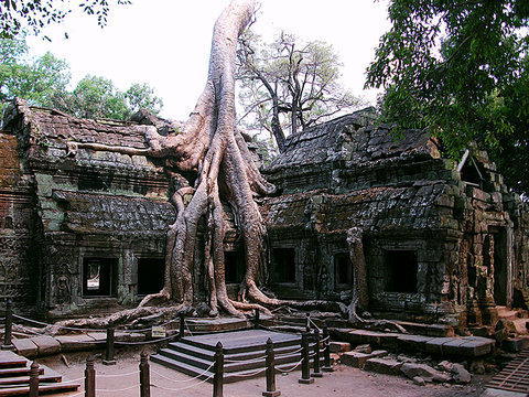 Majestic Angkor Discovery 