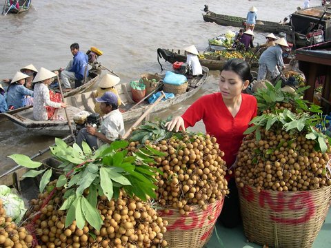 Siem Reap - Saigon 