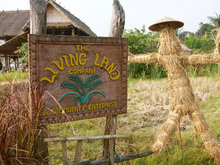 Living Land Company 