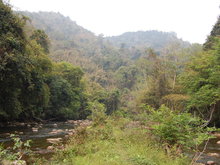 Nam Ha National Biodiversity Conservation Area