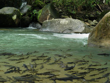 Namtok Phliu National Park