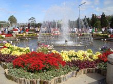 Da Lat Flower Garden