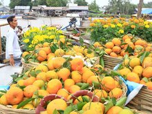 Cai Rang Floating Market