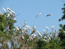 Bang Lang Stork Garden