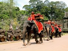 Elephant Rides 