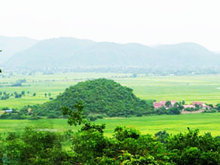 Phnom Trong Morn Trong Tea