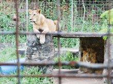 Teuk Chhou Zoo
