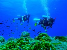 Koh Kong Divers 