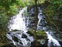 Chrey Yos Waterfall