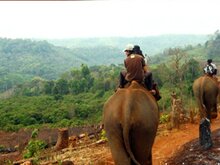 Phnom Nam Lear Sanctuary