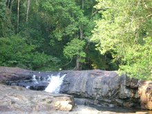 Virachey National Park