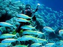 Beach Diving and Snorkeling