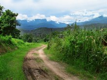 Doi Suthep-Pui National Park 