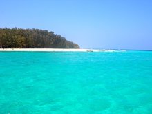 Bamboo Island 