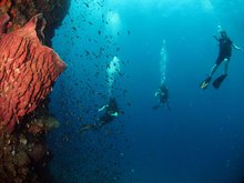 Diving in Phi Phi 