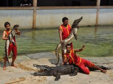 Crocodile Farm and Zoo