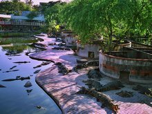 Crocodile Farm and Zoo