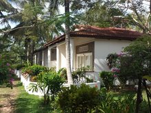 Bamboo Cottage