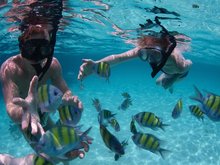 Koh Nang Yuan Snorkeling Tour 