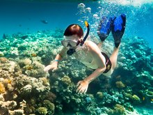 Samui Coral Island Snorkeling Tour 
