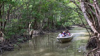 Can Gio Mangrove Forest - Monkey Island