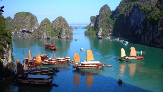 Halong Bay Cruise Tour 