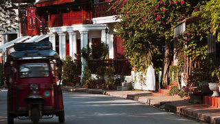 Luang Prabang Family Reveal 