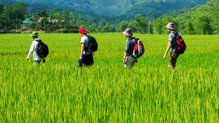 Mai Chau Hiking Trip