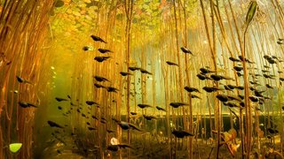 Real Adventure in Vietnam