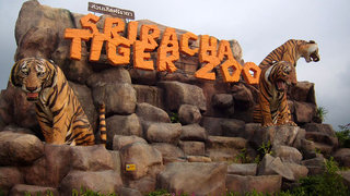 Tiger Park 