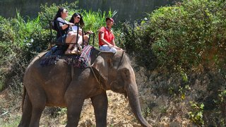 Da Lat Elephant Riding Tour