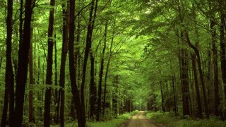 Eco Trails of Vietnam