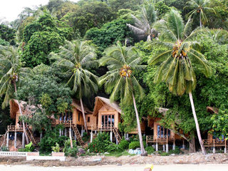 Beachfront Bamboo House